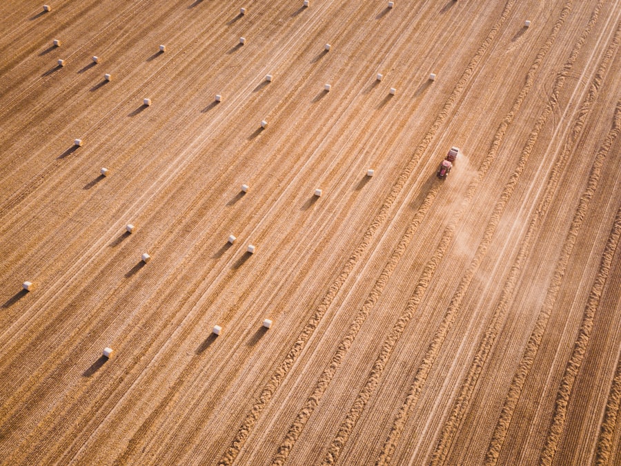 Wooden floor cleaning
