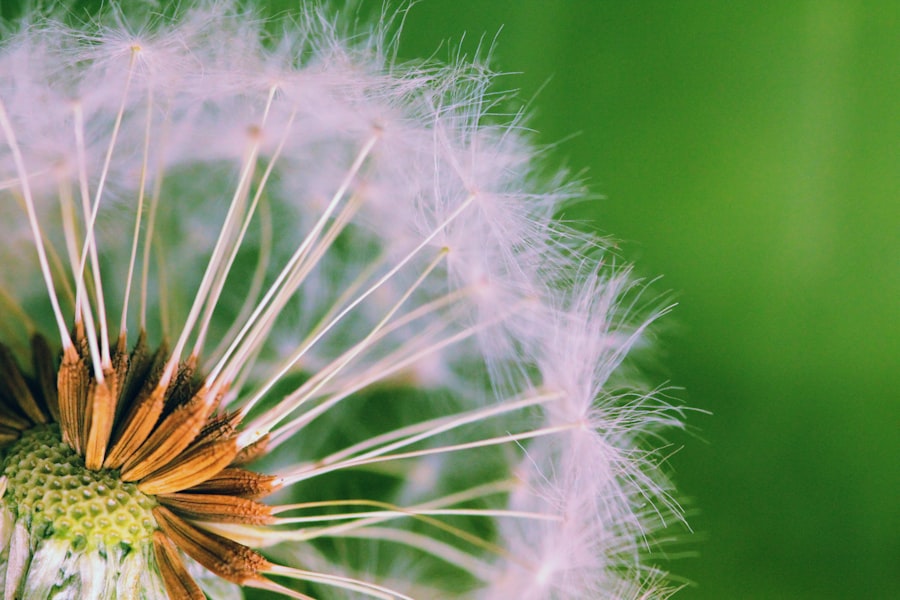 Photo Allergy safe softener
